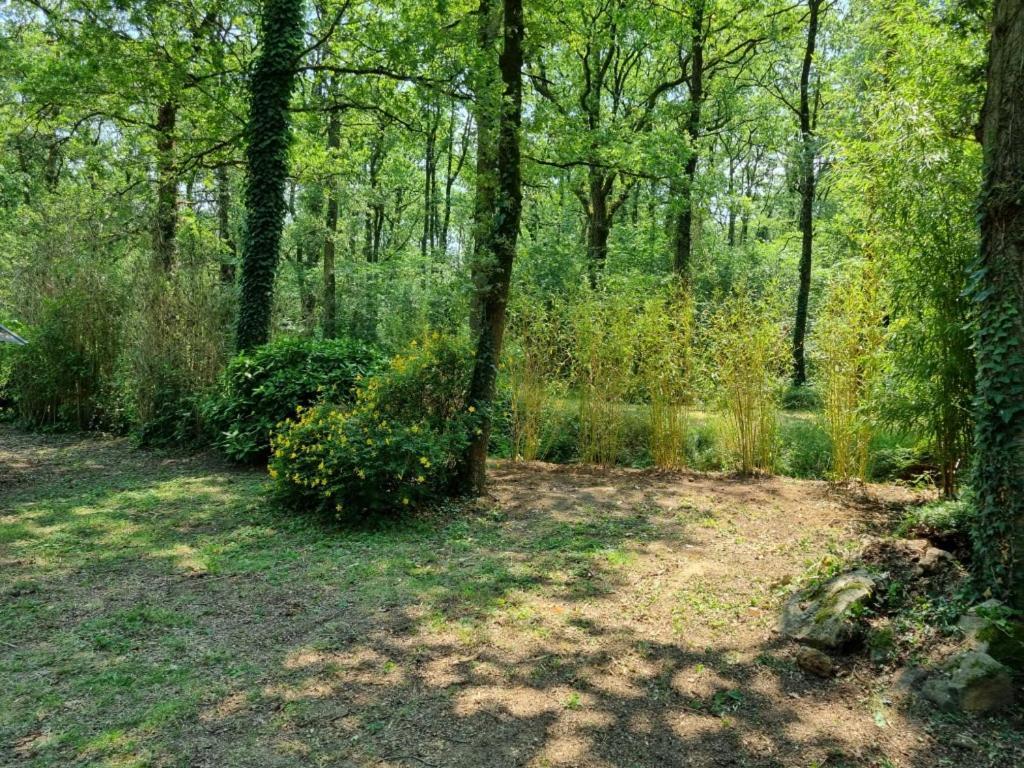 Les Chalets De Saumur, Piscine & Parc Boise, 100M Du Cadrenoir Exterior foto