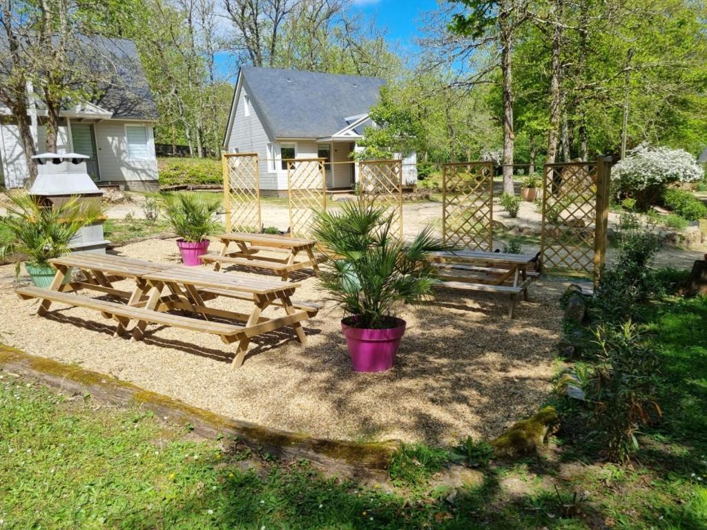 Les Chalets De Saumur, Piscine & Parc Boise, 100M Du Cadrenoir Exterior foto
