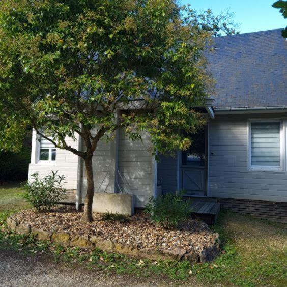 Les Chalets De Saumur, Piscine & Parc Boise, 100M Du Cadrenoir Exterior foto